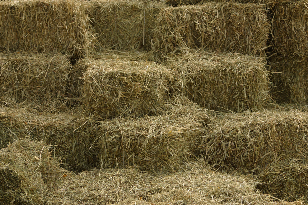 Bales of hay